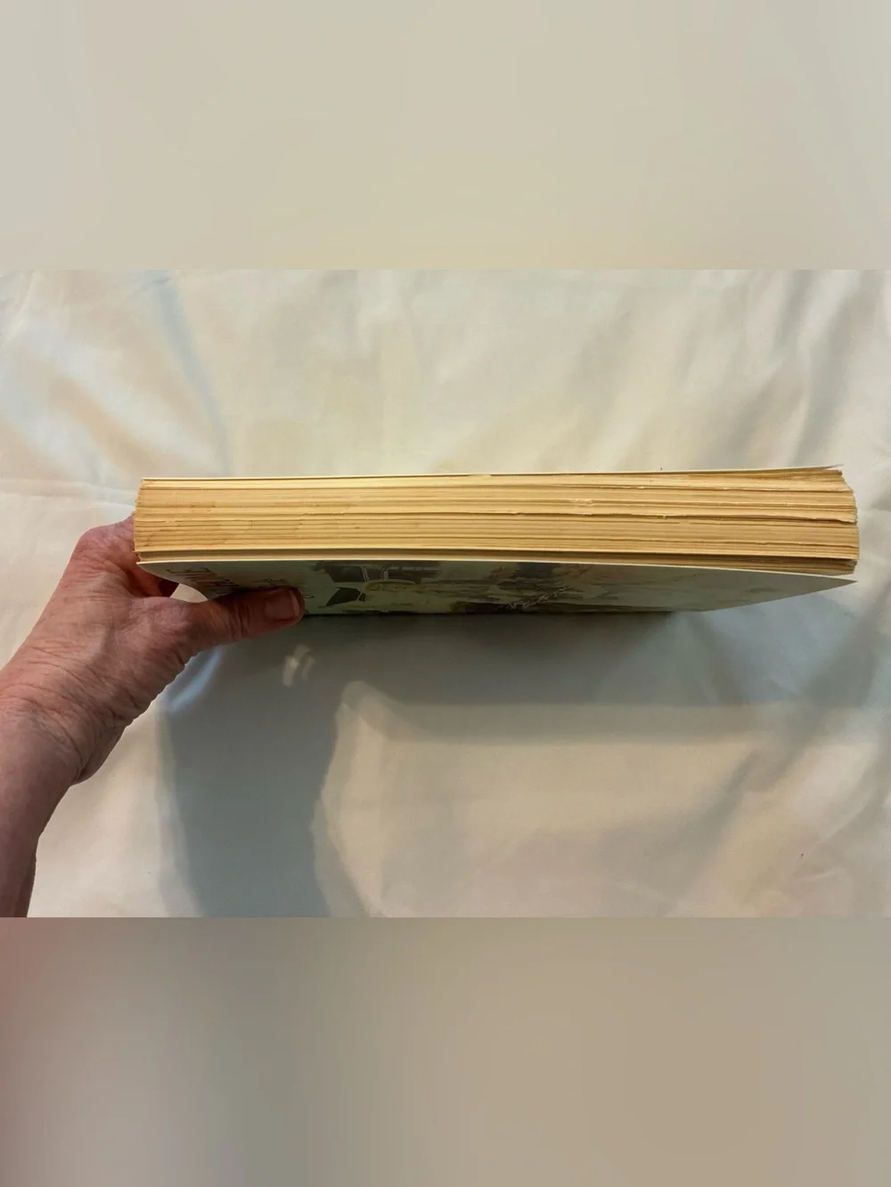 Down Home in High Style Cookbook